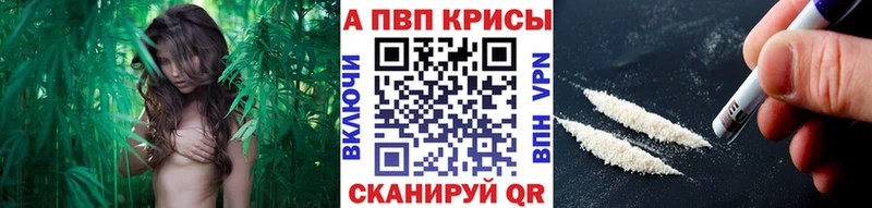 APVP СК Санкт-Петербург