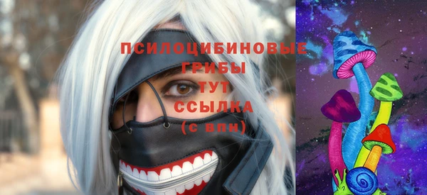 мдма Белокуриха