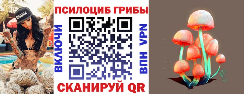 Псилоцибиновые грибы Psilocybe  где можно купить наркотик  Санкт-Петербург 